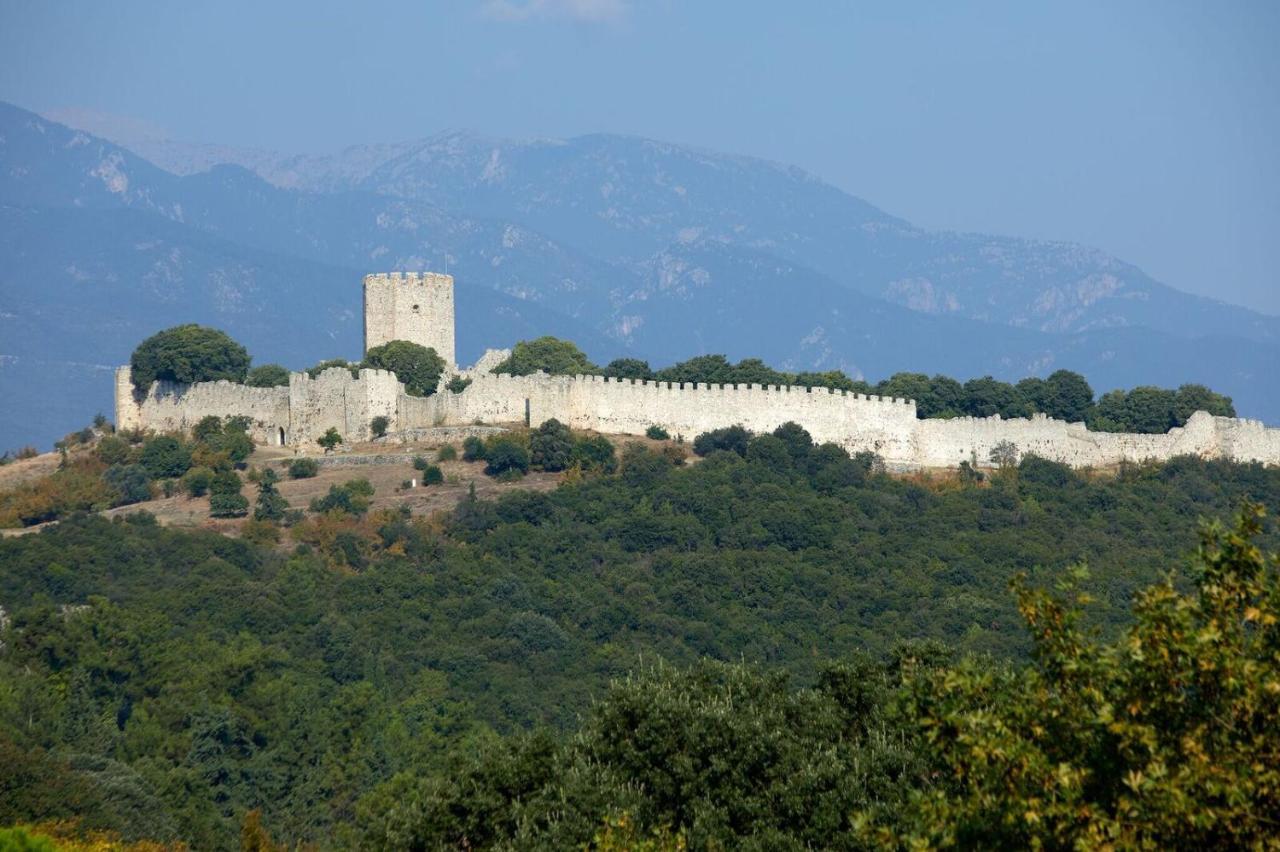 Hotel Alkyonis Πλαταμώνας Εξωτερικό φωτογραφία